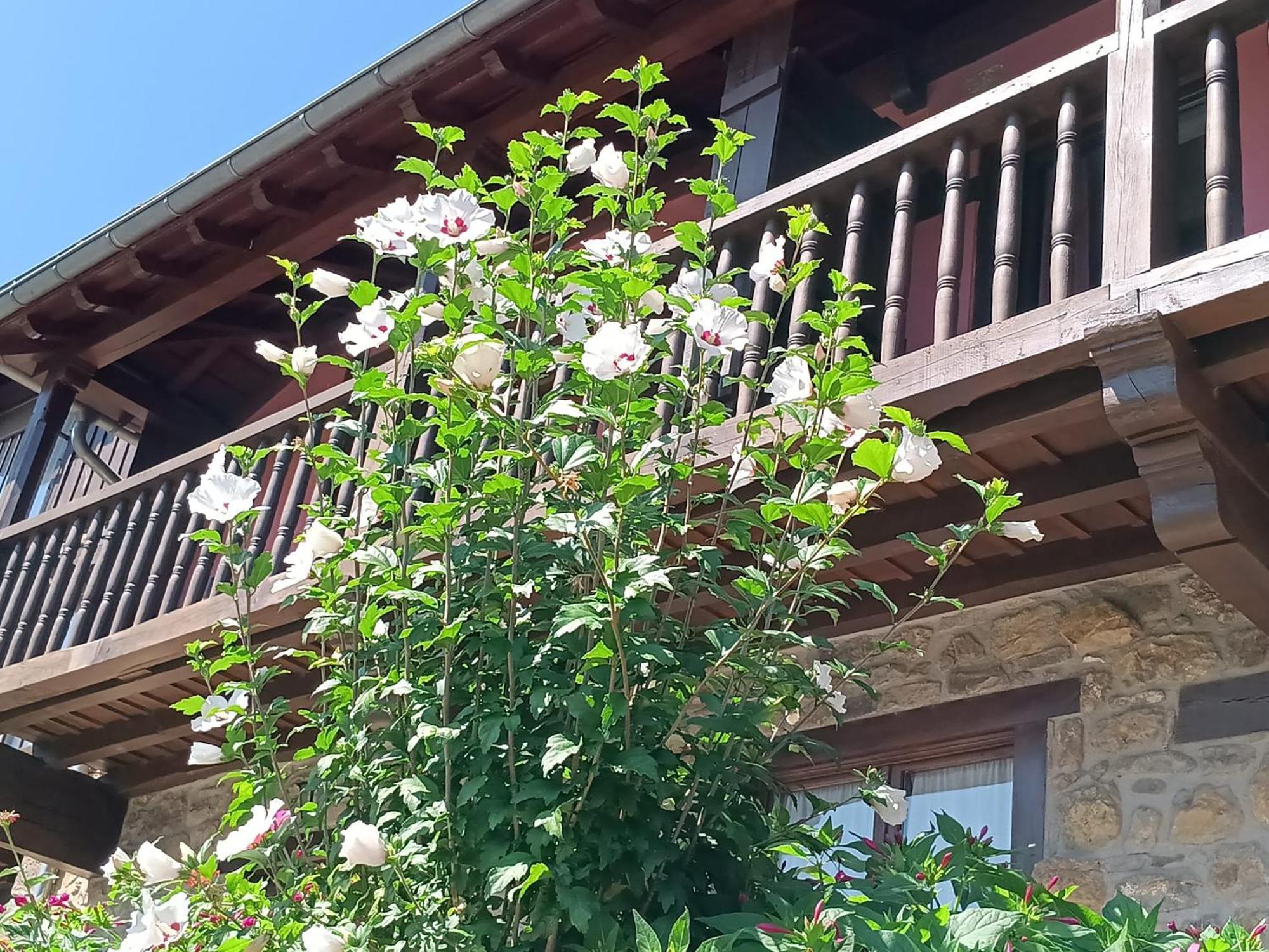 Apartamentos Calm & Nature - Adults Only Cabezón de Liébana Extérieur photo